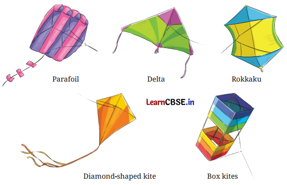 NCERT Class 6 English Poorvi Chapter 14 Question Answer The Kites Page 149 Q2