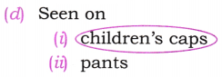 NCERT Class 6 English Poorvi Chapter 15 Question Answer Ila Sachani Embroidering Dreams With Her Feet Page 158 Q1.3