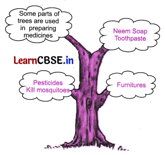 NCERT Class 6 English Poorvi Chapter 7 Question Answer Neem Baba Page 75 Q1.1