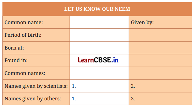 NCERT Class 6 English Poorvi Chapter 7 Question Answer Neem Baba Page 77 Q1