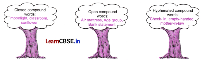 NCERT Class 6 English Poorvi Chapter 7 Question Answer Neem Baba Page 81 Q1.1