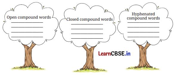 NCERT Class 6 English Poorvi Chapter 7 Question Answer Neem Baba Page 81 Q1