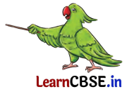 NCERT Class 6 English Poorvi Chapter 8 Question Answer What a Bird Thought Page 89 Q1.1