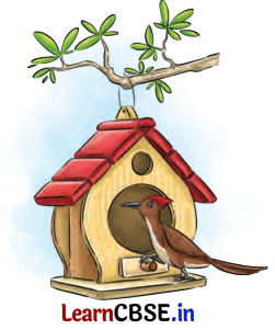 NCERT Class 6 English Poorvi Chapter 8 Question Answer What a Bird Thought Page 89 Q2.1