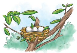 NCERT Class 6 English Poorvi Chapter 8 Question Answer What a Bird Thought Page 91 Q2.1