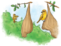 NCERT Class 6 English Poorvi Chapter 8 Question Answer What a Bird Thought Page 91 Q2.2