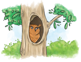 NCERT Class 6 English Poorvi Chapter 8 Question Answer What a Bird Thought Page 91 Q2.3