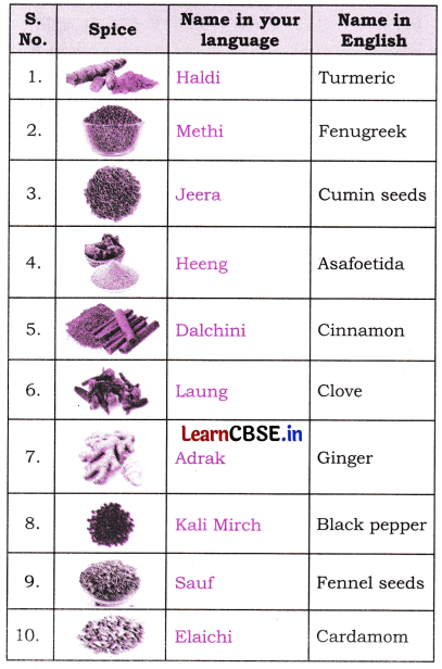 NCERT Class 6 English Poorvi Chapter 9 Question Answer Spices that Heal Us Page 93 Q2.1