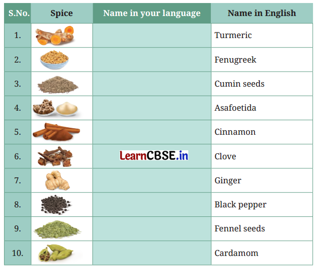 NCERT Class 6 English Poorvi Chapter 9 Question Answer Spices that Heal Us Page 93 Q2