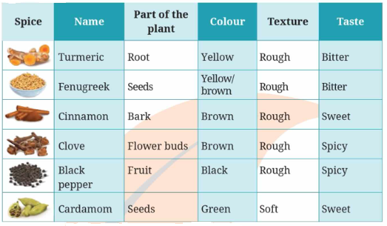 NCERT Class 6 English Poorvi Chapter 9 Question Answer Spices that Heal Us Page 96 Q1.2