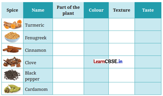 NCERT Class 6 English Poorvi Chapter 9 Question Answer Spices that Heal Us Page 96 Q1