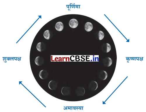 NCERT Class 6 Hindi Malhar Chapter 7 Question Answer जलाते चलो 7