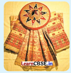 NCERT Class 6 Hindi Malhar Chapter 8 Question Answer सत्रिया और बिहू नृत्य 11