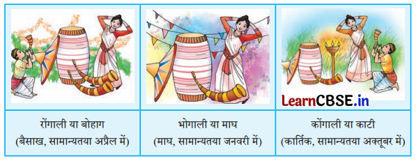 NCERT Class 6 Hindi Malhar Chapter 8 Question Answer सत्रिया और बिहू नृत्य 4
