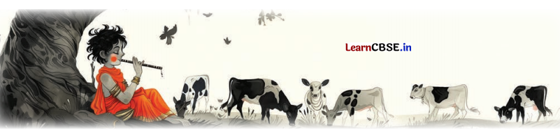 NCERT Class 6 Hindi Malhar Chapter 9 Question Answer मैया मैं नहिं माखन खायो 2