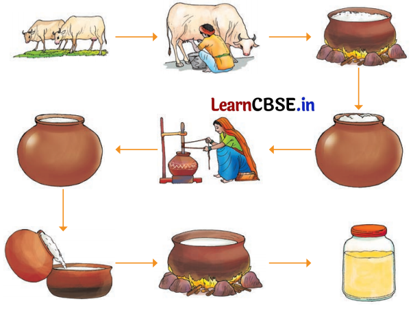 NCERT Class 6 Hindi Malhar Chapter 9 Question Answer मैया मैं नहिं माखन खायो 6