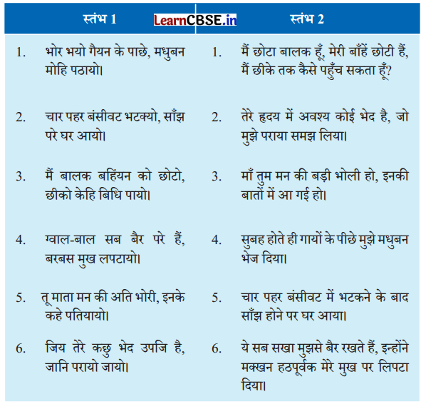 NCERT Class 6 Hindi Malhar Chapter 9 Question Answer मैया मैं नहिं माखन खायो 8