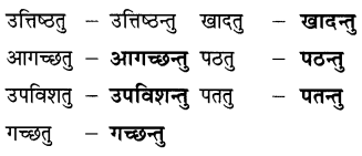 NCERT Class 6 Sanskrit Deepakam Chapter 10 Question Answer त्वम् आपणं गच्छ 1.5