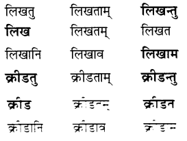NCERT Class 6 Sanskrit Deepakam Chapter 10 Question Answer त्वम् आपणं गच्छ 2.7