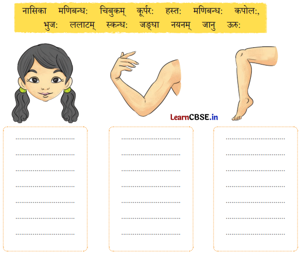 NCERT Class 6 Sanskrit Deepakam Chapter 14 Question Answer माधवस्य प्रियम् अङ्गम् 1.3