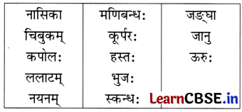 NCERT Class 6 Sanskrit Deepakam Chapter 14 Question Answer माधवस्य प्रियम् अङ्गम् 1.4