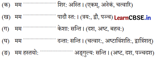 NCERT Class 6 Sanskrit Deepakam Chapter 14 Question Answer माधवस्य प्रियम् अङ्गम् 2.2