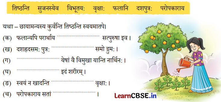 NCERT Class 6 Sanskrit Deepakam Chapter 15 Question Answer वृक्षाः सत्पुरुषाः इव 2.2