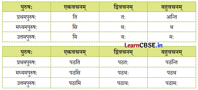 NCERT Class 6 Sanskrit Deepakam Chapter 8 Question Answer बुद्धिः सर्वार्थसाधिका 8.8