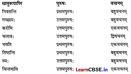 NCERT Class 6 Sanskrit Deepakam Chapter 8 Question Answer बुद्धिः सर्वार्थसाधिका 8.9