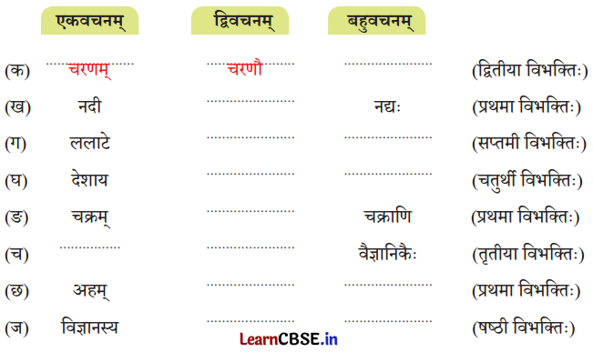 NCERT Class 7 Sanskrit Chapter 1 Question Answer Solutions वन्दे भारतमातरम् 12