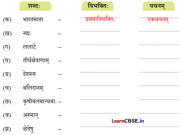 NCERT Class 7 Sanskrit Chapter 1 Question Answer Solutions वन्दे भारतमातरम् 13