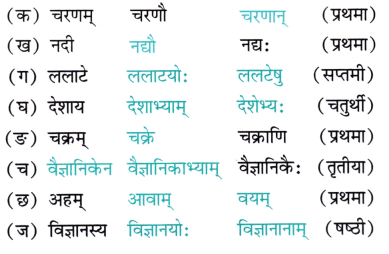 NCERT Class 7 Sanskrit Chapter 1 Question Answer Solutions वन्दे भारतमातरम् 2