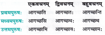NCERT Class 7 Sanskrit Chapter 1 Question Answer Solutions वन्दे भारतमातरम् 27