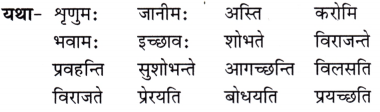 NCERT Class 7 Sanskrit Chapter 1 Question Answer Solutions वन्दे भारतमातरम् 6
