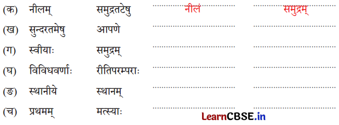NCERT Class 7 Sanskrit Chapter 11 Question Answer Solutions द्वीपेषु रम्यः द्वीपोऽण्डमानः 3