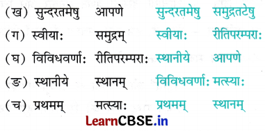 NCERT Class 7 Sanskrit Chapter 11 Question Answer Solutions द्वीपेषु रम्यः द्वीपोऽण्डमानः 4