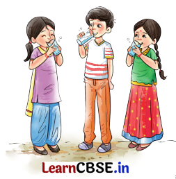 NCERT Class 7 Sanskrit Chapter 11 Question Answer Solutions द्वीपेषु रम्यः द्वीपोऽण्डमानः 5