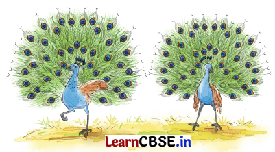 NCERT Class 7 Sanskrit Chapter 11 Question Answer Solutions द्वीपेषु रम्यः द्वीपोऽण्डमानः 6