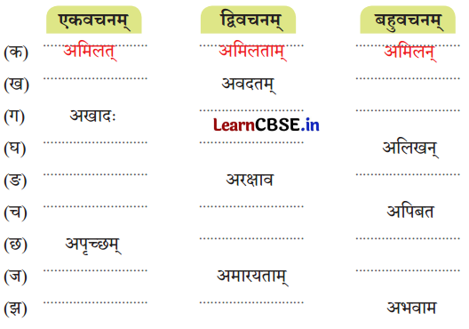 NCERT Class 7 Sanskrit Chapter 12 Question Answer Solutions वीराङ्गना पन्नाधाया 2