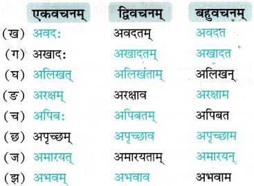 NCERT Class 7 Sanskrit Chapter 12 Question Answer Solutions वीराङ्गना पन्नाधाया 3
