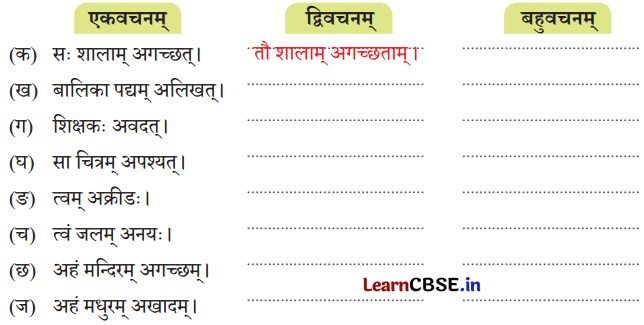 NCERT Class 7 Sanskrit Chapter 12 Question Answer Solutions वीराङ्गना पन्नाधाया 4