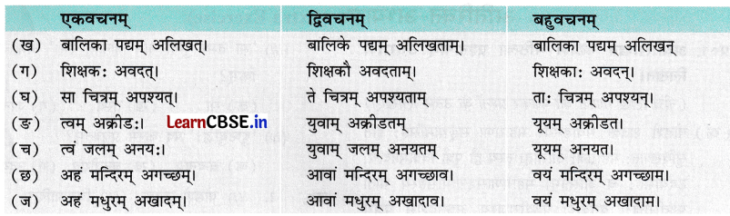 NCERT Class 7 Sanskrit Chapter 12 Question Answer Solutions वीराङ्गना पन्नाधाया 5