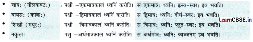 NCERT Class 7 Sanskrit Chapter 13 Question Answer अतिरिक्‍तम् अध्‍ययनम् वर्णमात्रा-परिचयः 13