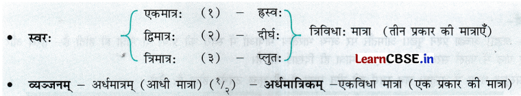 NCERT Class 7 Sanskrit Chapter 13 Question Answer अतिरिक्‍तम् अध्‍ययनम् वर्णमात्रा-परिचयः 8