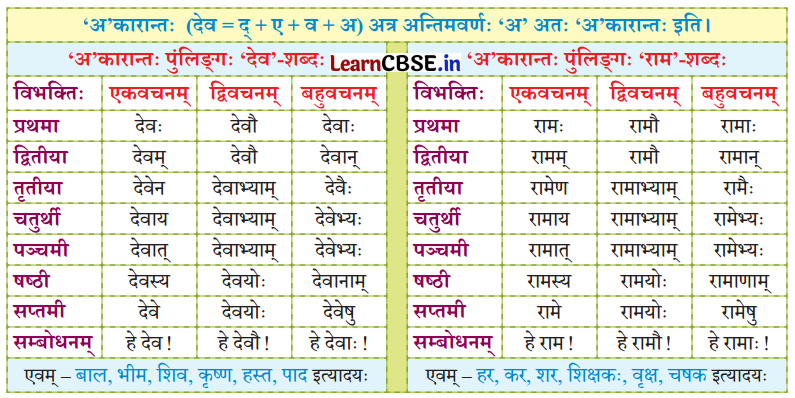 NCERT Class 7 Sanskrit Chapter 14 परिशिष्‍टम् १ शब्दरूपाणि 35