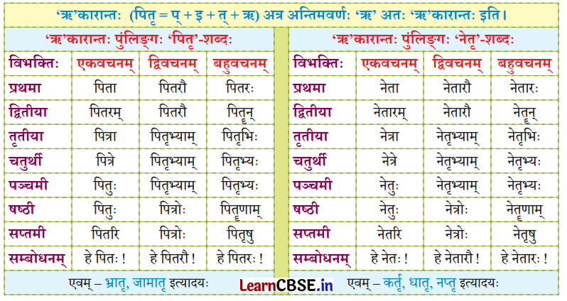 NCERT Class 7 Sanskrit Chapter 14 परिशिष्‍टम् १ शब्दरूपाणि 38