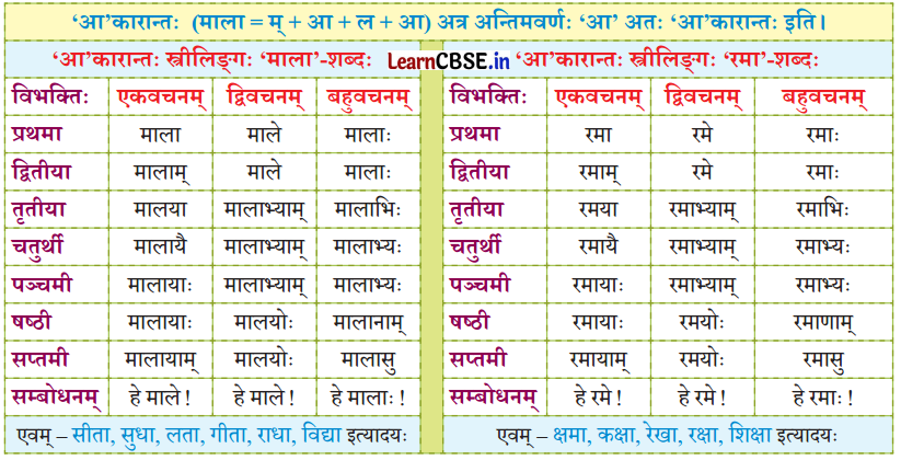 NCERT Class 7 Sanskrit Chapter 14 परिशिष्‍टम् १ शब्दरूपाणि 39
