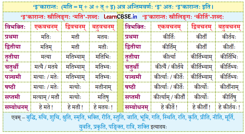 NCERT Class 7 Sanskrit Chapter 14 परिशिष्‍टम् १ शब्दरूपाणि 40