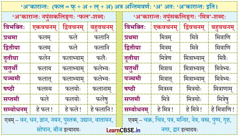 NCERT Class 7 Sanskrit Chapter 14 परिशिष्‍टम् १ शब्दरूपाणि 42