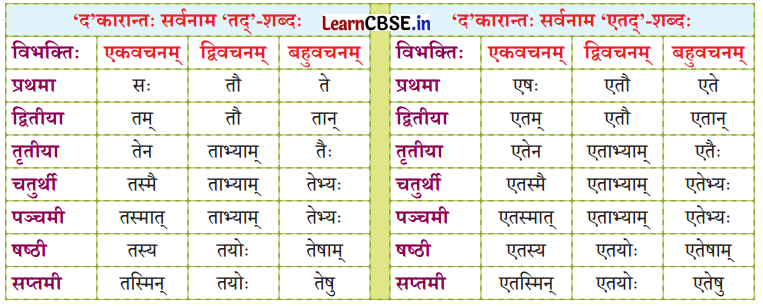 NCERT Class 7 Sanskrit Chapter 14 परिशिष्‍टम् १ शब्दरूपाणि 43